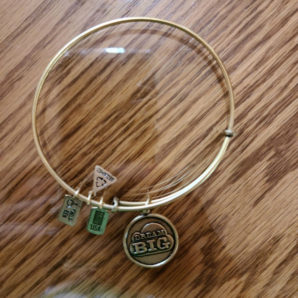 alex and ani bracelet